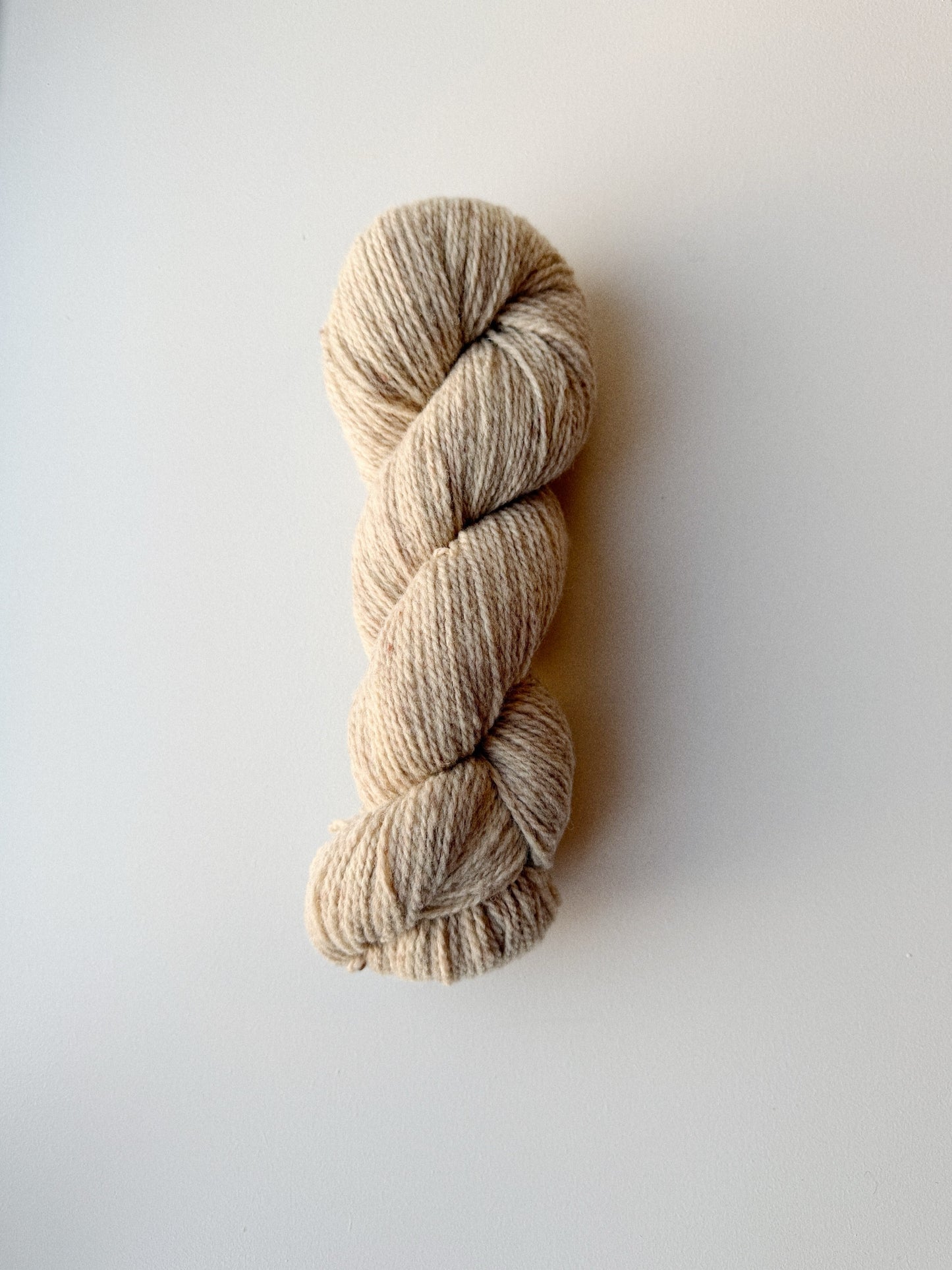 Semilla Melange (Dot)
