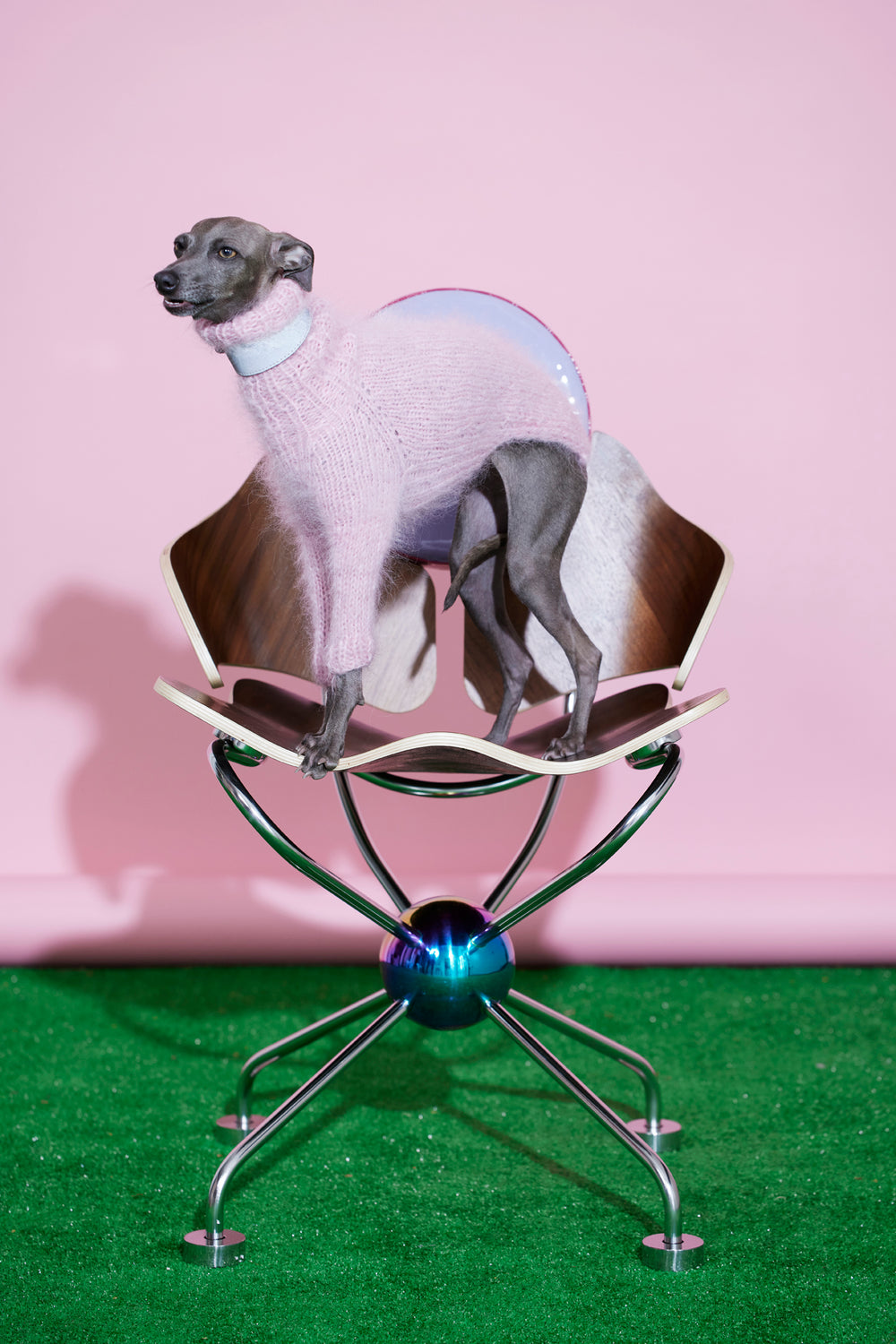 Fat Fur Sighthound Knit Kit